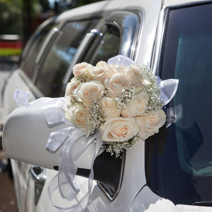 برسي ليموزين برسي ليموزين Bersi for limousine services